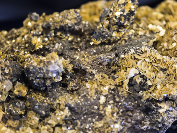 Licensed Gold & Base Metals Asset