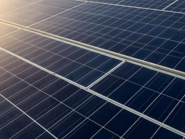 Renewable energy investment
