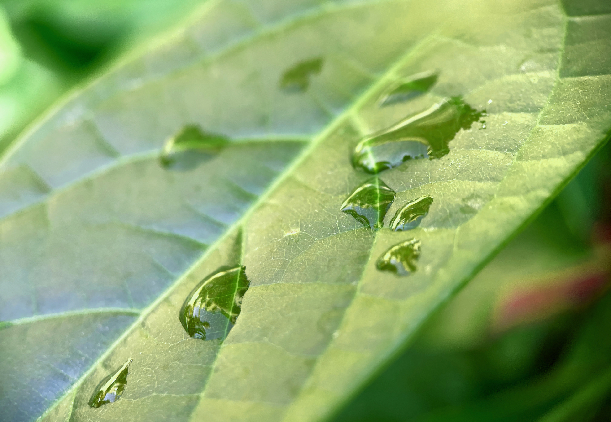 Agricultural Mineral Products
