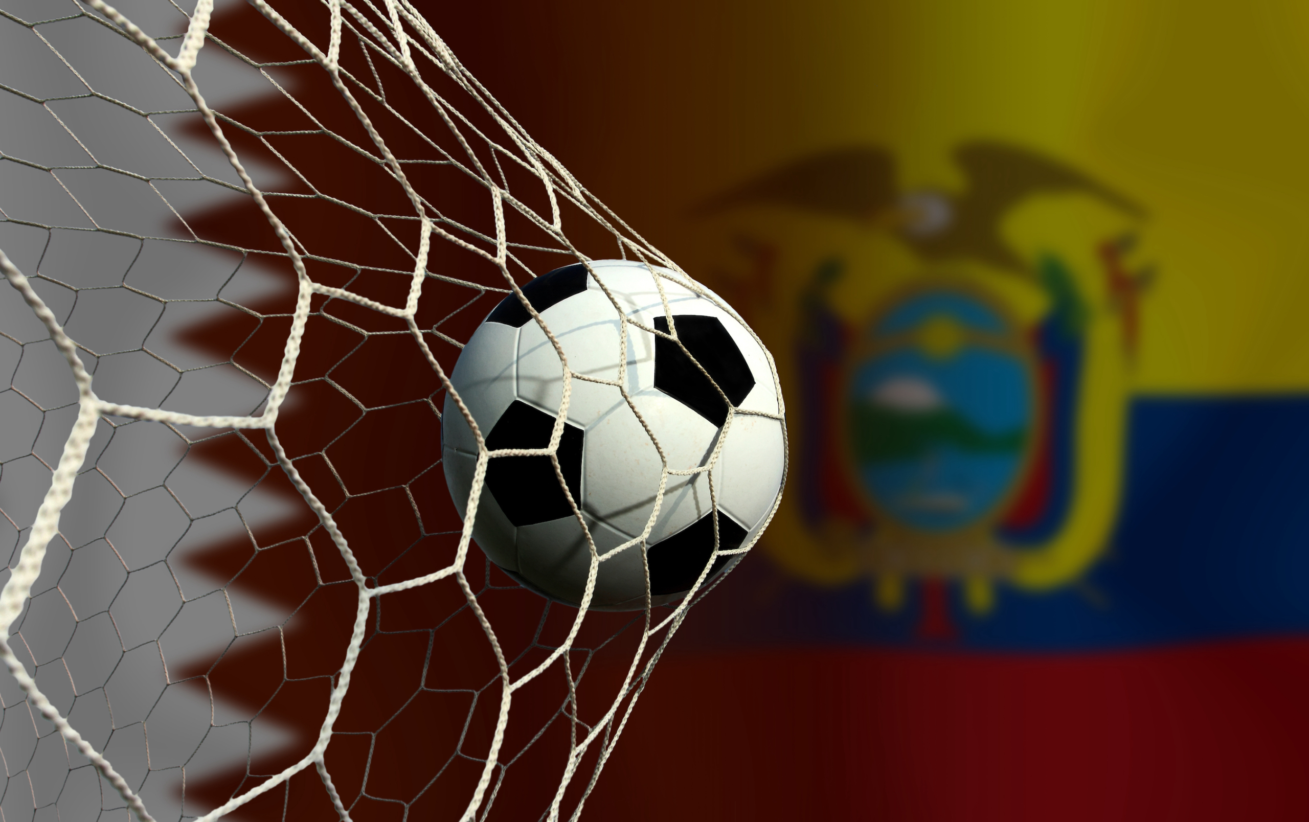 Soccer club for sale