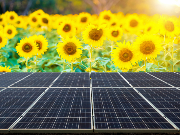 Solar PV for sale