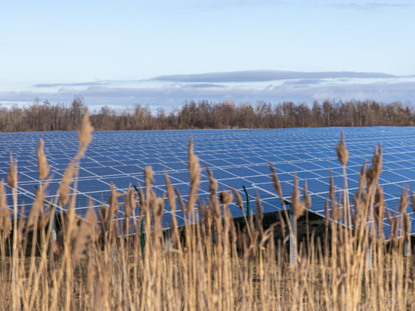 Solar PV for a sale in Italy